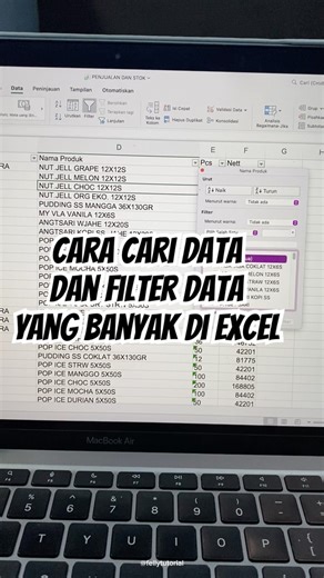 How to Search or Filter Large Data in EXCEL