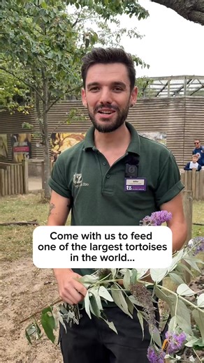 13K views · 153 reactions | At Twycross Zoo, we're proud to be home...