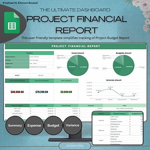 Project Budget Report Dashboard Spreadsheet | Project Cost Matrix & Financial Oversight | Digital Download - Etsy