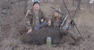 Big Boar Responds to Electronic Call in a Mere 90 Seconds