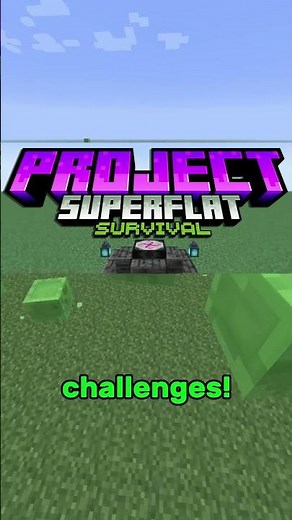 What was special about Minecraft 1.1?