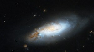 Hubble Focuses on Coma Cluster of Galaxies (Zoom and Pan) - NASA Science