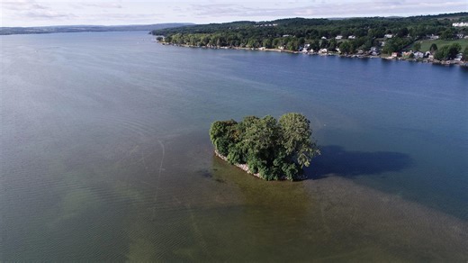 Watch: Deer spotted swimming across Canandaigua Lake stuns onlookers
