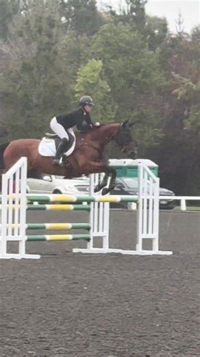 Amazing Pony Adventures in New Zealand