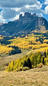 Today was absolutely breathtaking with the aspens showing off their peak colors in the high country ❤️ | West Elk Equine