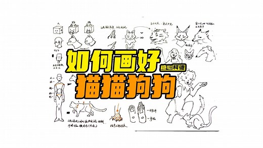 『动漫手绘』如何画好猫猫狗狗？｜数字媒体艺术考研｜插画考研｜游戏考研｜漫画考研｜动漫考研｜动画考研｜动漫画室｜动画校考｜设计考研｜绘画教程｜数媒考研机构