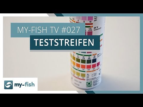 Quickly measure the most important water parameters with test strips | my-fish TV