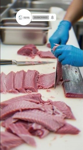 How Canned Tuna Is Made (From Ocean to Can) | Inside a Tuna Factory