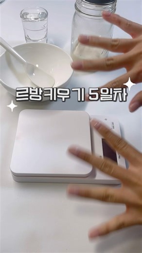 르방키우기 5일차✨ | 르방만들기 • 르방만드는법