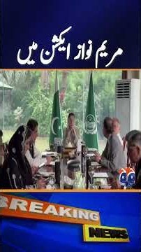 Maryam Nawaz Makes Major Decision to Tackle Climate Change | Geo News