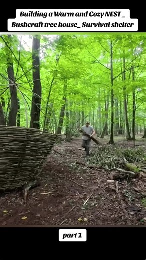 part 1......🇺🇸🇺🇸🇺🇸 Building a Warm and Cozy NEST _ Bushcraft tree house_ Survival shelter, #outdoorliving #bushcraft #survivaltips #campinghacks #creatorsearchinsights