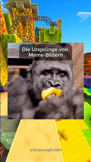 Die Ursprünge von Meme-Bildern (2)