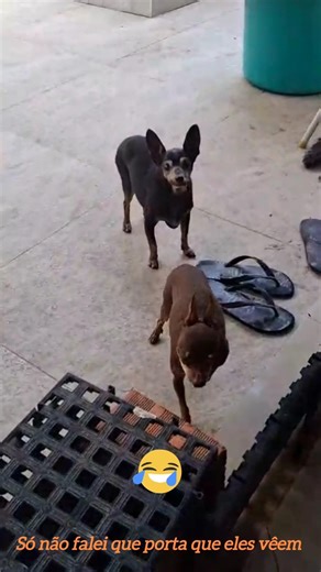 Bug na Matrix: Versão Pincher