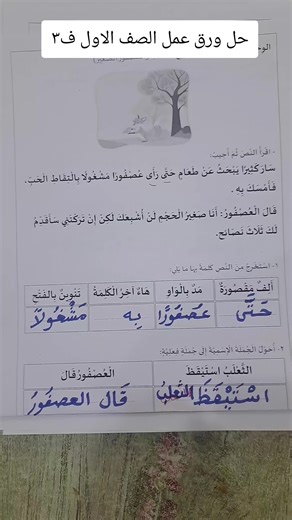 حل ورقة عمل درس الثعلب والعصفور الصغير