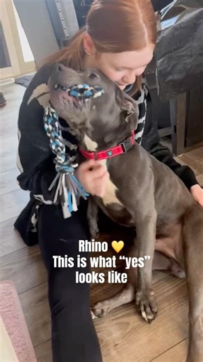 From Surviving to Safe — This Is Rhino Now 💛