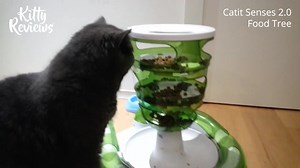 478 reactions · 106 shares | Make mealtime a fun adventure for your cat with the Catit® Senses Food Tree!   Prevents binge eating  Includes a whisker-friendly collector tray  Wide and durable base for enhanced stability  Made of BPA-free materials Shop today and enjoy free shipping on orders over $40! | Catit USA | Facebook