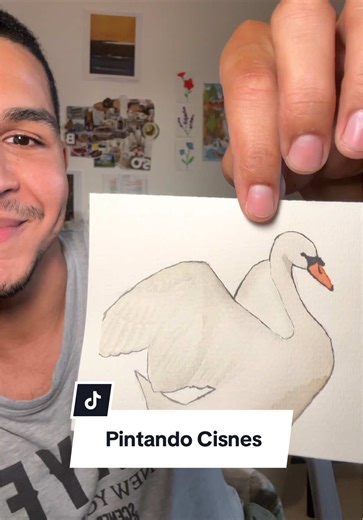 La inspiración de estas pinturitas vino de un video de datos curiosos que me salió en TikTok. Después de ahí !!Adoro los cisnes!!. Se me hacen muy románticos 🥹💕 Eso de escoger una pareja para toda la vida…HERMOSO 😭❤️ #creator #arte #artist #acuarela
