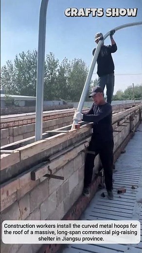 Building a Commercial Pig Barn 🐷🏗️