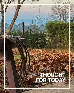 28K views · 2.1K reactions | THOUGHT FOR TODAY (Back to Basics) When you start to believe the Word and you start to live it, then confusion goes out the window... . Catch The Revival Train on the Angus Buchan APP, YouTube or Facebook this Friday at 7pm (SAST). The APP is now available on Apple TV and Roku. Download it from your APP store for free. bit.ly/AngusApp | Angus Buchan | Facebook