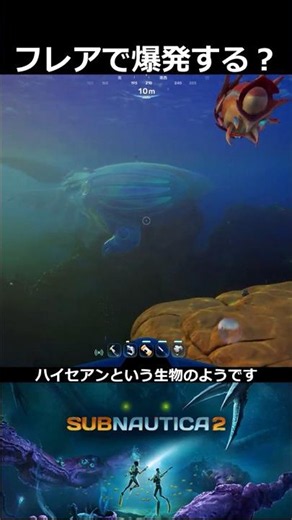ハイセアン：サブノーティカ2