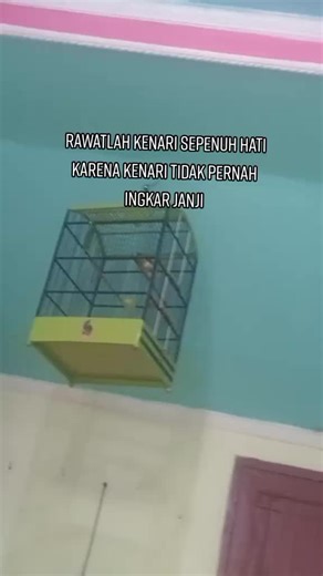 ASTROBO (@official_astrobo)’s videos with suara asli - gabber ypcs