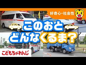 【11分まとめ】このおと、どんなくるま？| はたらくくるま | 子ども向け動画詰め合わせ| しまじろうチャンネル公式