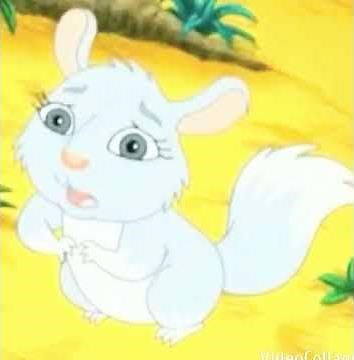 Go Diego Go Baby Chinchilla Chinta 2005