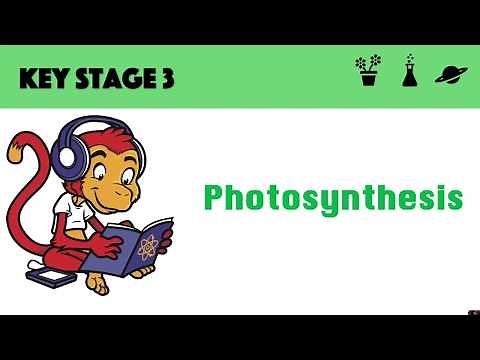 Photosynthesis