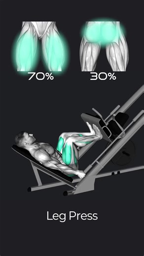 Leg Press vs. Hack Squat: Which One Builds Bigger Legs?