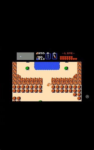 My pet bird flew away! Zelda nes Please subscribe for more