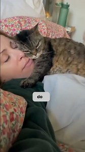 Why Your Cat Stopped Sleeping With You.....#shorts #trending #explore