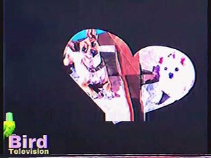 Beverly Hills Chihuahua (2008) End Credits (Bird Television 2011)