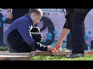 United Kingdom | Learning through Landscapes: Greening School Grounds
