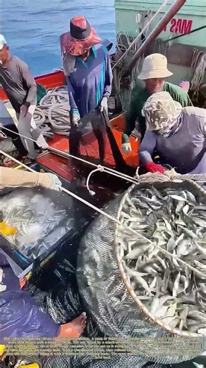 Hauling the Catch: Dragging a Net Full of Silver into the Hold