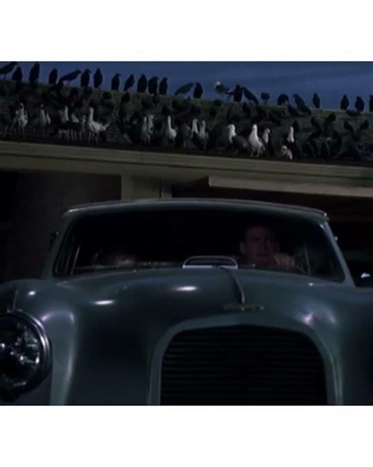 The Bird's/ Alfred Hitchcock/ 1963 ‧ Horror/Mystery ‧ End