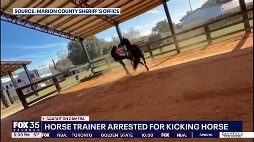 Horse trainer arrested after video shows alleged abuse of horse