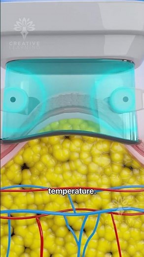 How Does Fat Freezing & Cryolipolysis Really Work 😲 #shorts #viralvideo - CREATIVELEARNING3D