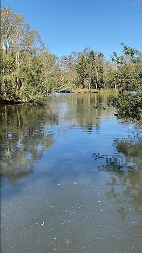 Edenbrooke Park, Sinnamon Park #brisbane 8/6/2026