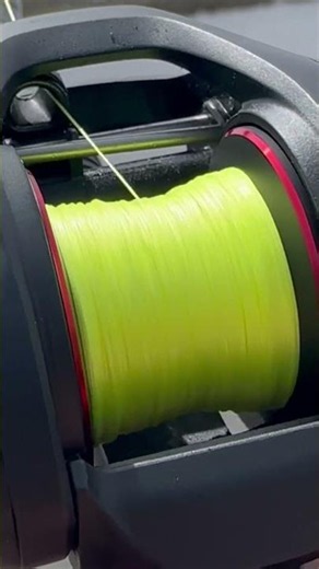 Hi Vis Yellow Braid 💛 How Would You Score This Cast? 🎯 #reactiontackle #fishing