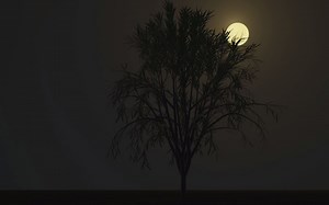 【Blender】Sapling Tree Gen 树插件