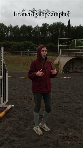 Medir distancia entre saltos