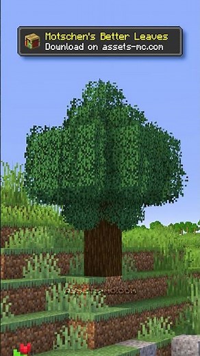 🥇 Better Leaves Texture Pack 1.21.9/1.21.8