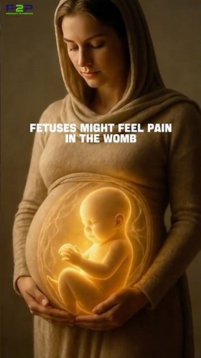 Do fetuses feel pain in the womb? 😫