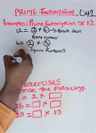 Introduction To Prime Factorization #Shorts #Numericalliteracy #Learnwithme #Maths