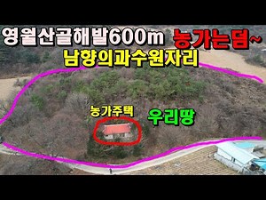 Yeongwol Mountain Valley, 600m above sea level~Farmhouses are a bonus~South-facing orchard site/Y...