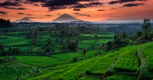 Tri Hita Karana: The Mystical Philosophy of Bali Rice Terraces - Historic Mysteries