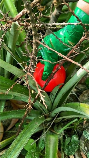 ✅The Mom Show Survival Skills: I Made Gloves in the forest 🌳 #survival #bushcraft #diy #satisfying