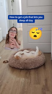 Find jobs without having to search with an Indeed profile. | Indeed | Facebook