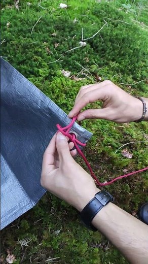 Fast Tarp Shelter Setup – Easy Knot Trick for Rainproof Camping 🏕️ #camping #bushcraft #adventure