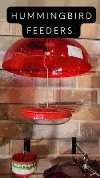 Patty's Picks - High Perch Hummingbird Feeders